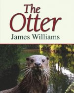 Otter