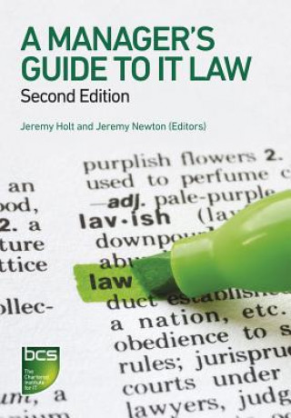 Manager's Guide to IT Law