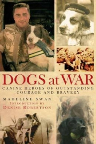 Dogs at War