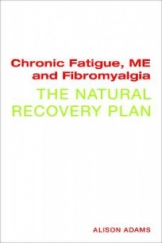 Chronic Fatigue, ME and Fibromyalgia the Natural Recovery Pl