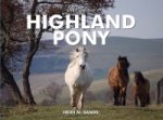 Spirit of the Highland Pony