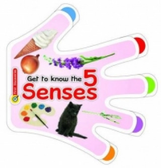 Get to Know the Five Senses