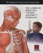 Complete Portfolio of Human Anatomy & Pathology