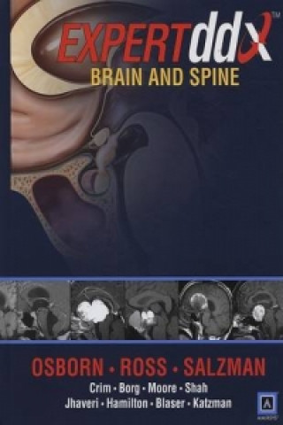 Brain and Spine