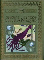 Animals of the Ocean