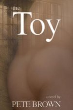Toy