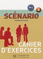 Scenario