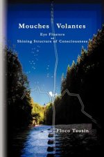 Mouches Volantes - Eye Floaters as Shining Structure of Consciousness