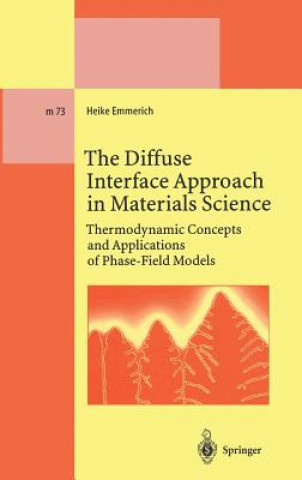 Diffuse Interface Approach in Materials Science
