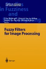 Fuzzy Filters for Image Processing