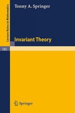 Invariant Theory