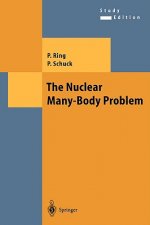 Nuclear Many-Body Problem