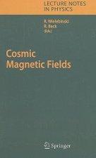 Cosmic Magnetic Fields