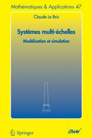 Systemes Multi-Echelles