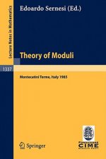 Theory of Moduli