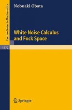 White Noise Calculus and Fock Space