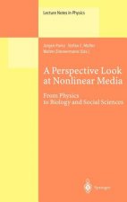 Perspective Look at Nonlinear Media