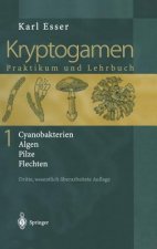 Kryptogamen 1