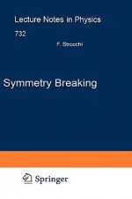 Symmetry Breaking