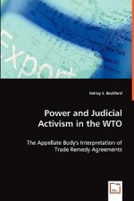 Power and Judicial Activism in the WTO