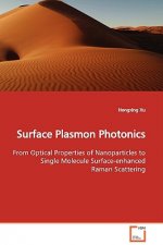 Surface Plasmon Photonics
