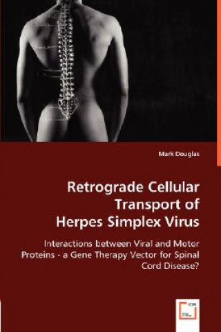 Retrograde Cellular Transport of Herpes Simplex Virus