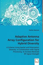 Adaptive Antenna Array Configuration for Hybrid Diversity