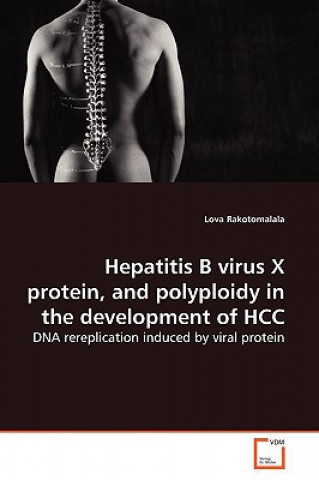 Hepatitis B virus X protein, and polyploidy in the development of HCC