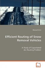 Efficient Routing of Snow Removal Vehicles