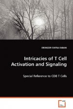 Intricacies of T Cell Activation and Signaling