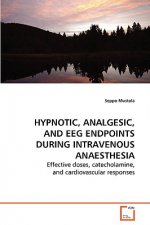 Hypnotic, Analgesic, and EEG Endpoints during Intravenous Anaesthesia