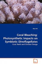 Coral Bleaching