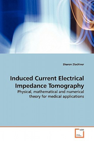 Induced Current Electrical Impedance Tomography