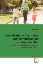 Reunification efforts with methamphetamine abusing families