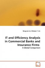 IT and Efficiency Analysis in Commercial Banks and Insurance Firms