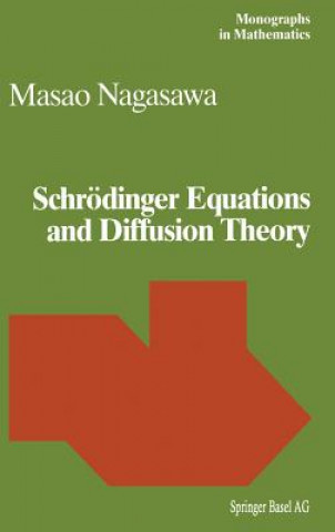 Schrodinger Equations and Diffusion Theory