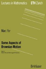 Some Aspects of Brownian Motion