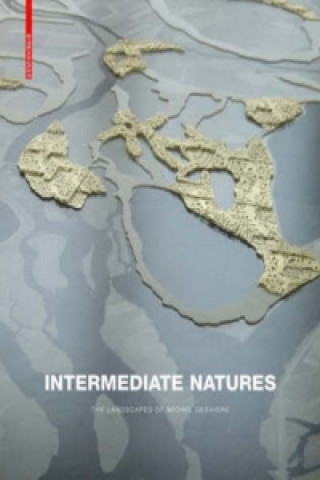 Intermediate Natures