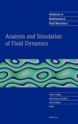 Analysis and Simulation of Fluid Dynamics
