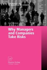 Why Managers and Companies Take Risks