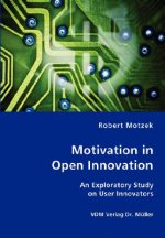 Motivation in Open Innovation