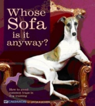 Whose Sofa is it anyway?