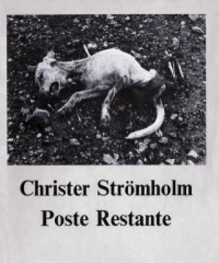 Christer Stromholm