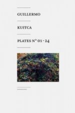 Guillermo Kuitca