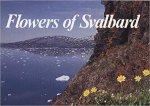 Flowers of Svalbard