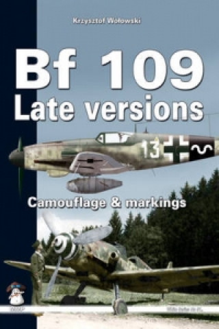 Bf109 Late Versions