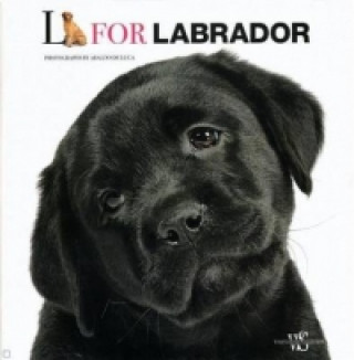 L is for Labrador