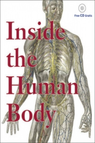 Inside The Human Body