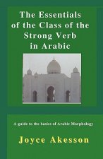 Essentials of the Class of the Strong Verb in Arabic