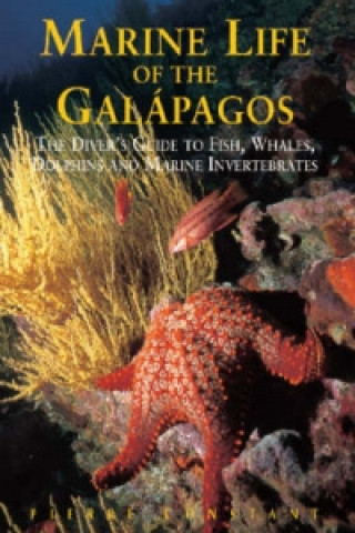 Marine Life of the Galapagos